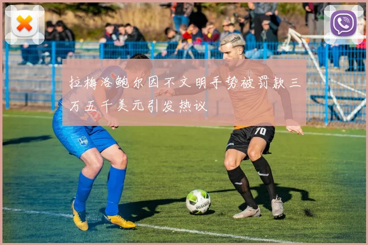 拉梅洛鲍尔因不文明手势被罚款三万五千美元引发热议