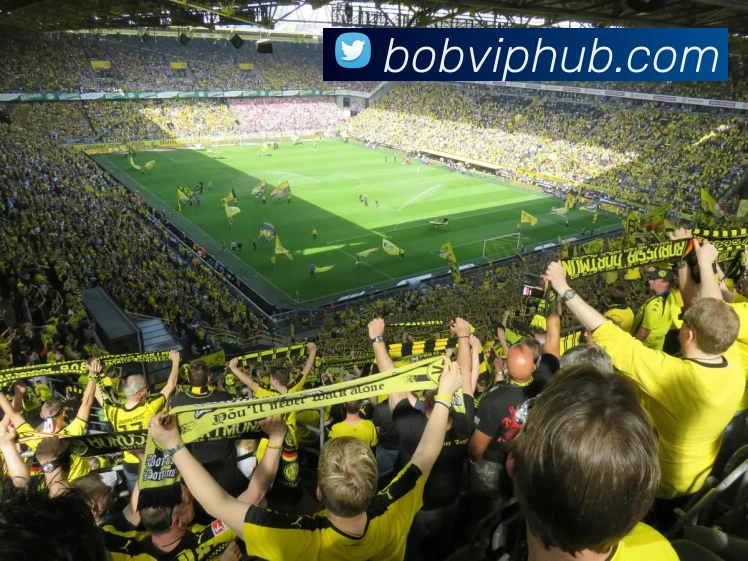 BOB体育发展历程